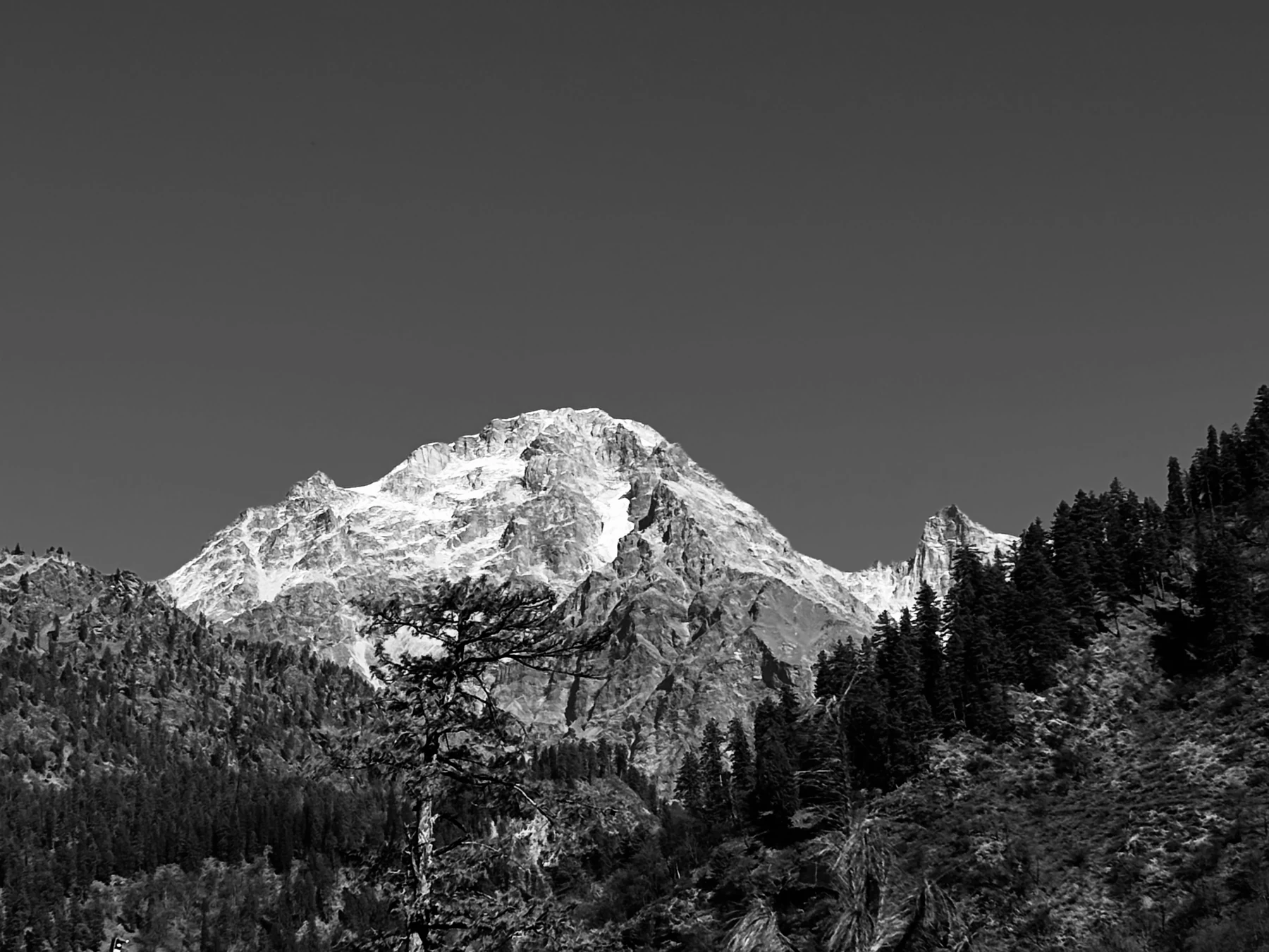 Pratham’s black-and-white photograph of a mountain framed by forest