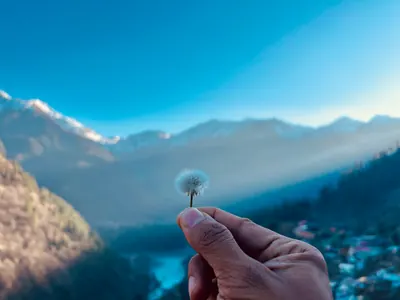 A hand holds a delicate white seed head against a softly blurred mountain valley and blue sky.