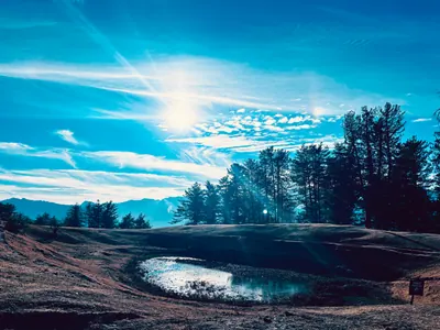 Bright sunlight and streaked clouds above silhouetted trees, with the sky reflected in a small pool.